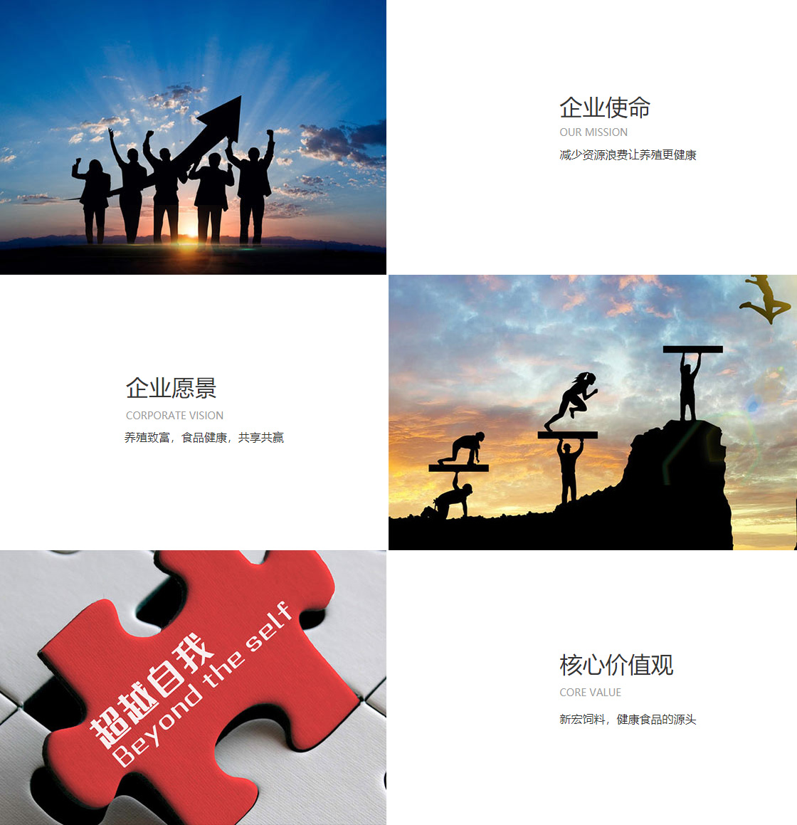 888电子集团app官网(图1)
